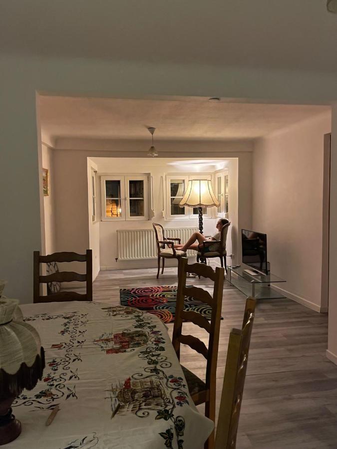 Villa Au bon Vieux Port à Sélestat Extérieur photo